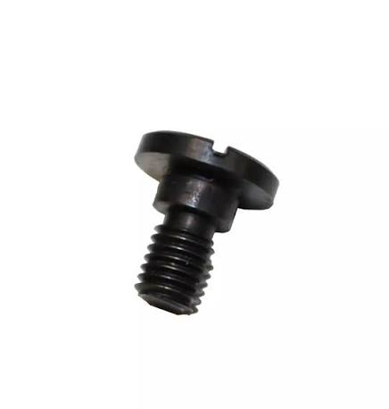 Hinge screw 781