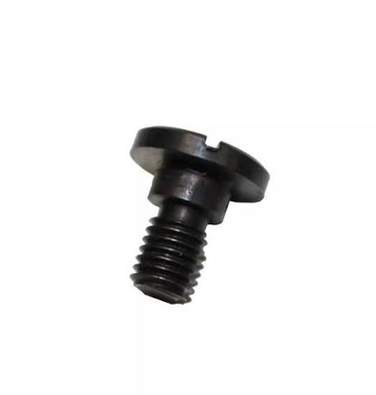 Hinge screw 781